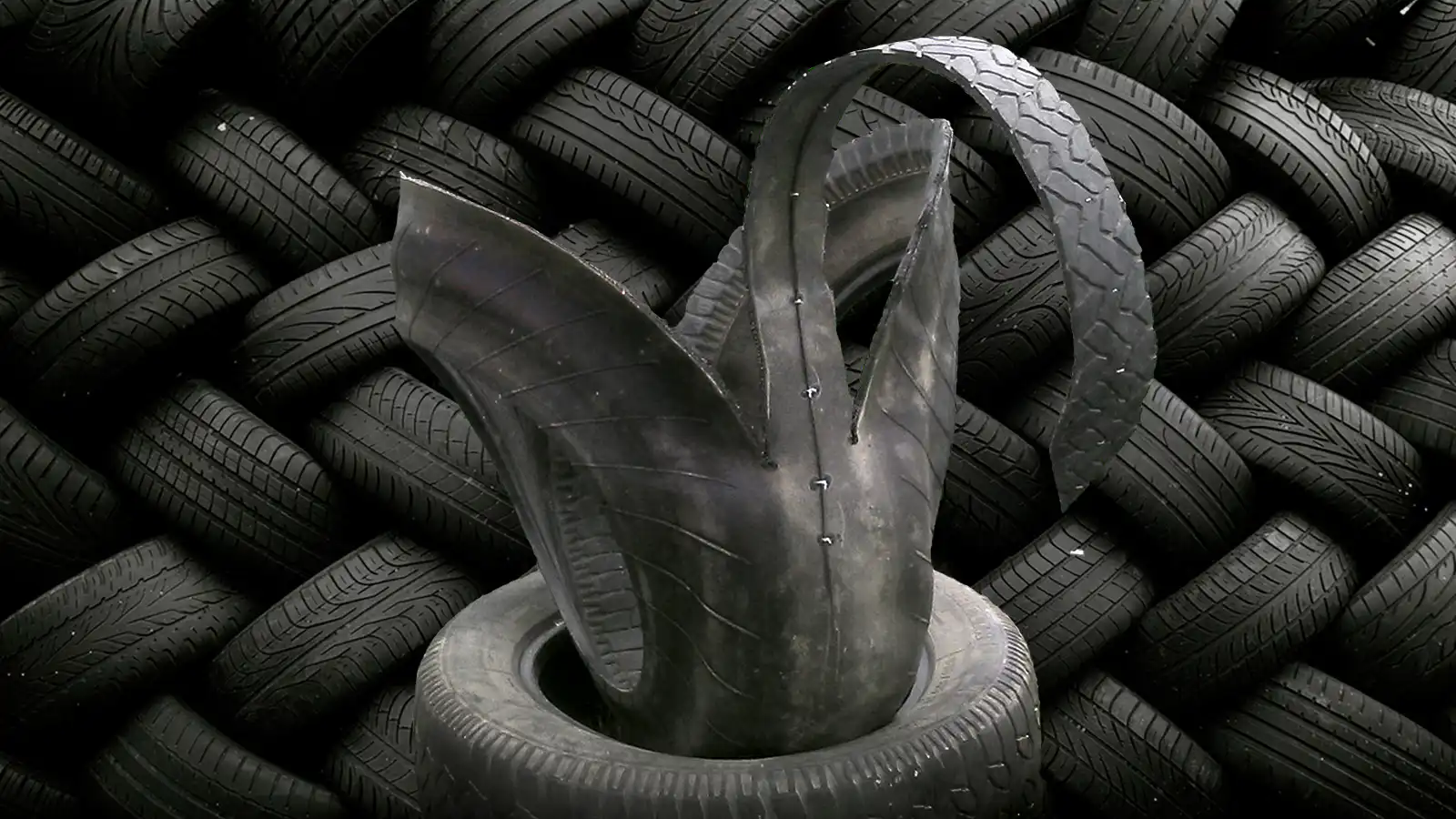 Пример обложки для публикации в «Псковской ленте новостей»